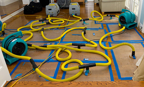 Professional Water Damage Repair technician working in Bensalem, PA